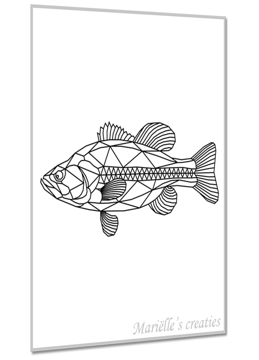 Bass fish 1