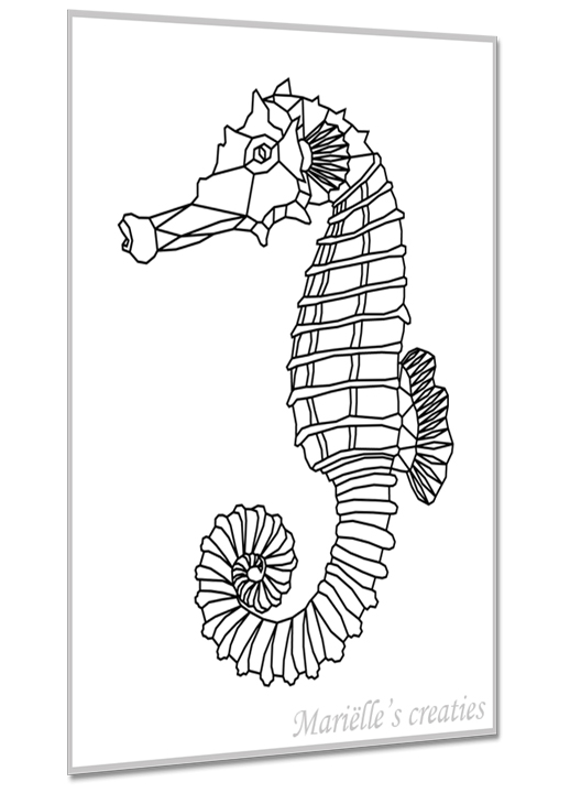 Zeepaardje 1