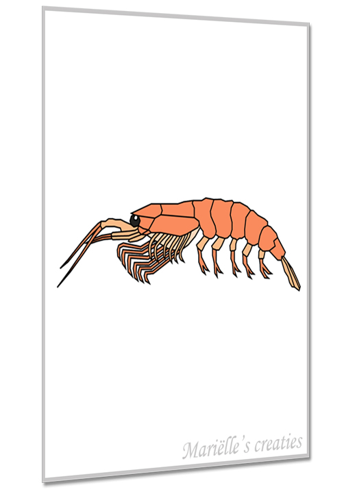 Geometric design: Marielles creaties - sea creatures / shrimp