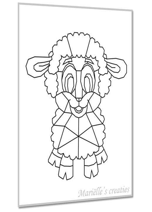 Schaap 1