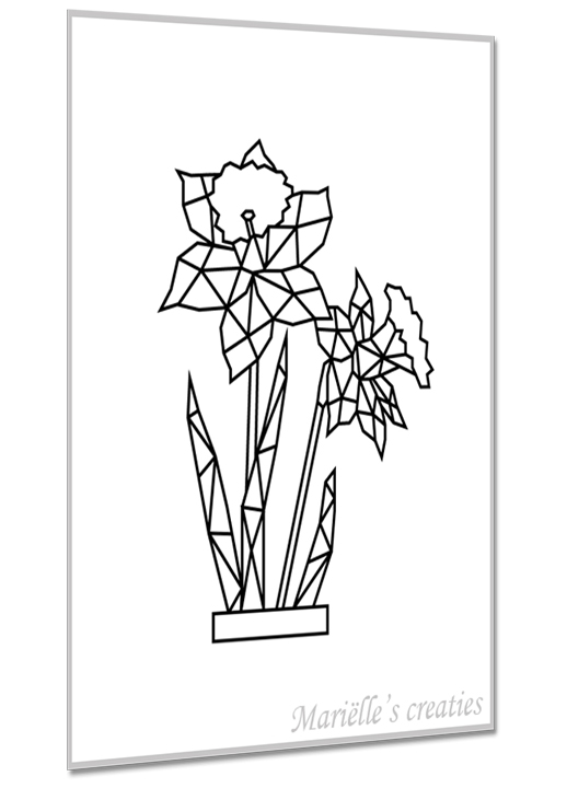Narcis 1