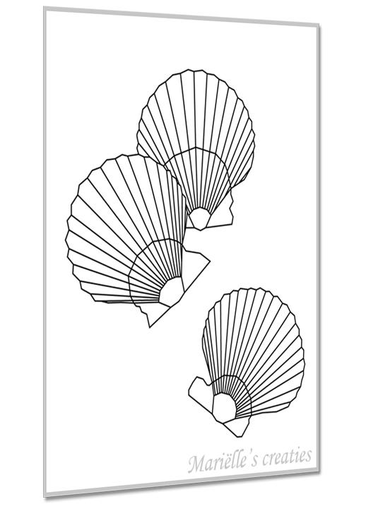 Schelpen 1