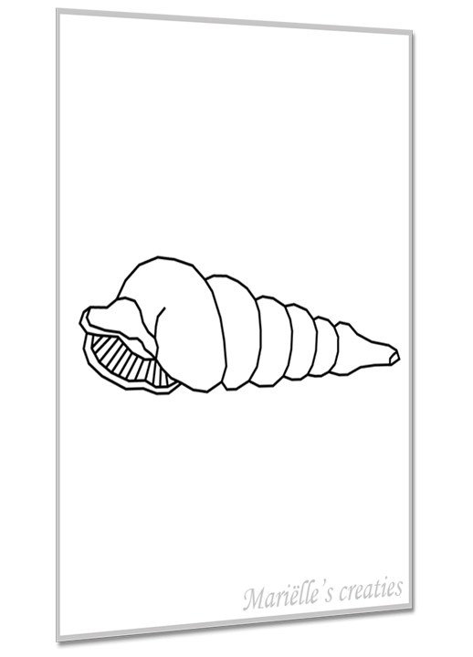 Geometric design/image Marielles creaties: Sea shells/Auger shell