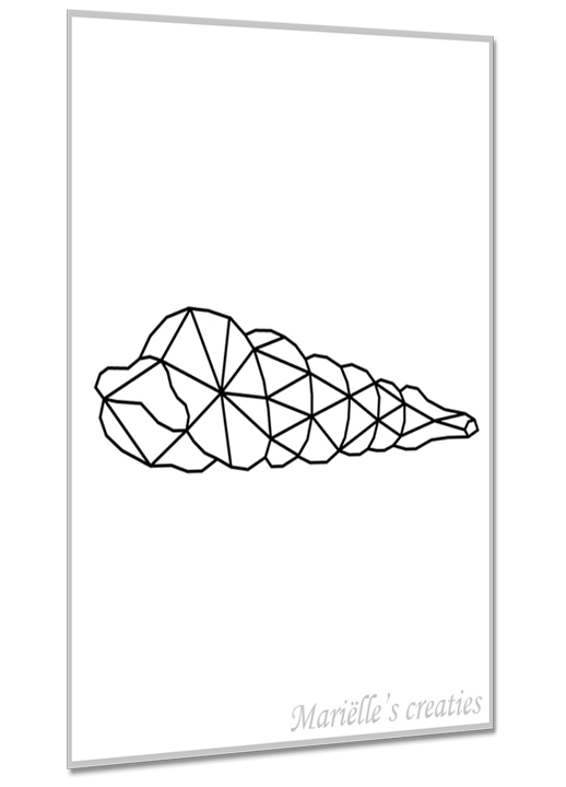 Schelpen 2