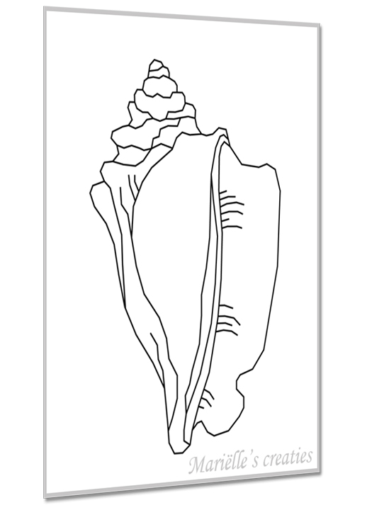 Geometric design/image Marielles creaties: Sea shells/Common Dog whelk