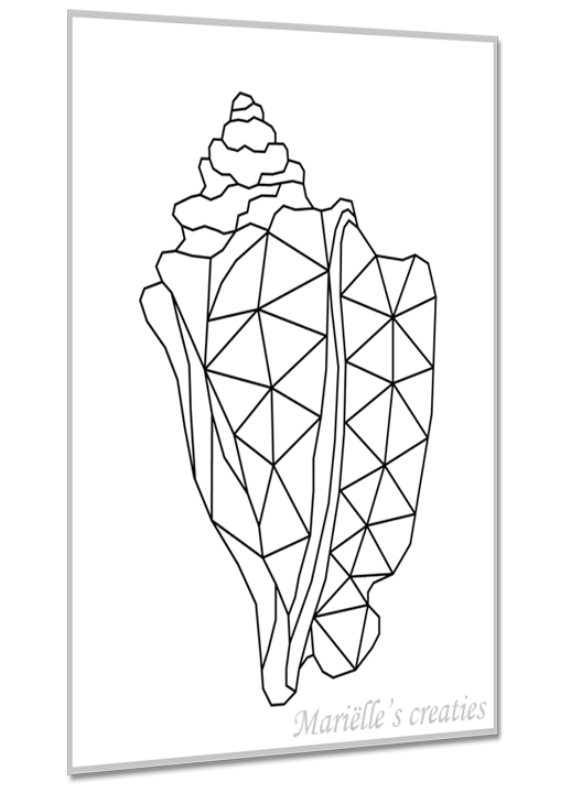 Schelpen 3